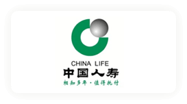 Partner 31